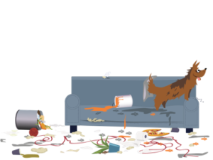 Betrug kostet Versichertengemeinschaft über 6 Milliarden Euro pro Jahr